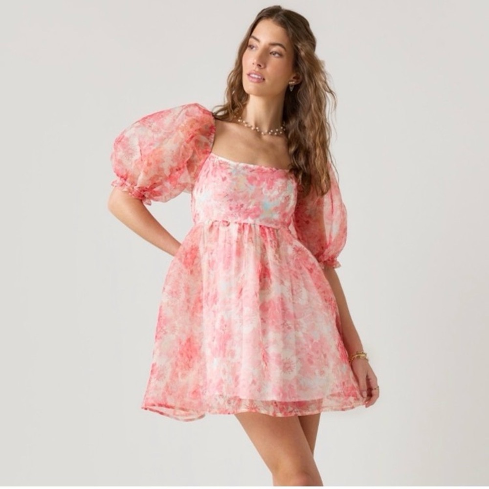 Audrey Parks + Francesca’s Rose Organza Puff Sleeve Babydoll Dress size M